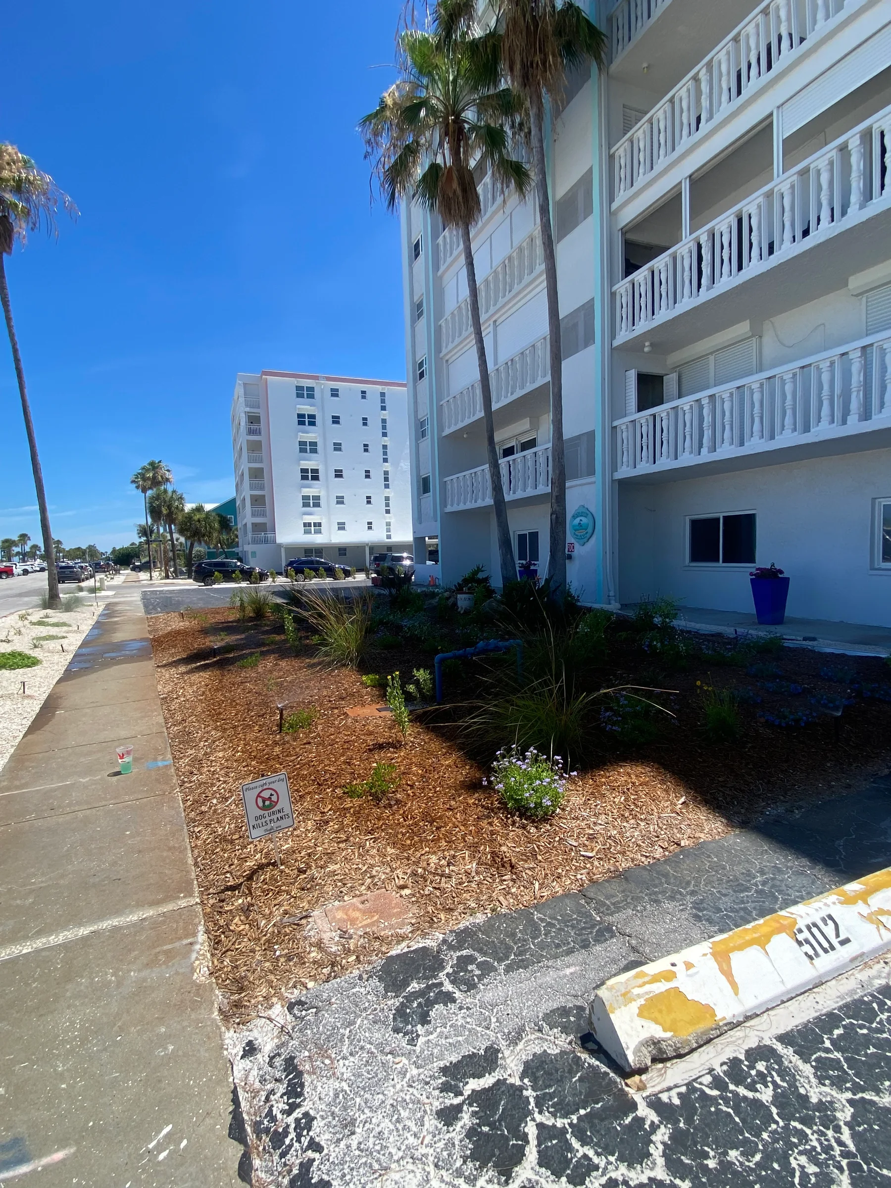 Landscaped planting bed with palms beside a multi-story property