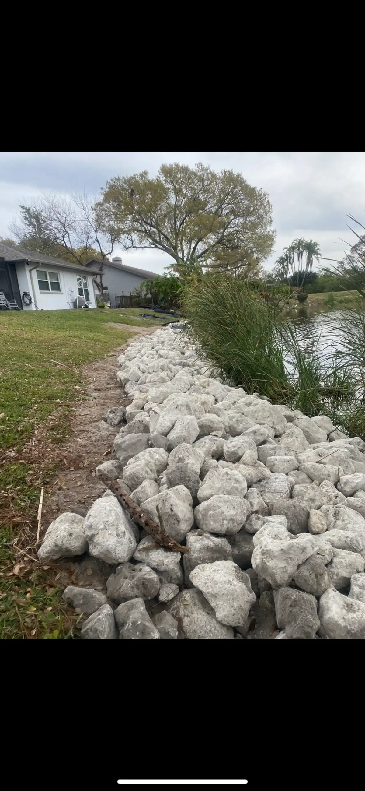 Landscaping project in St. Petersburg Florida with coastal vegetation and rock features