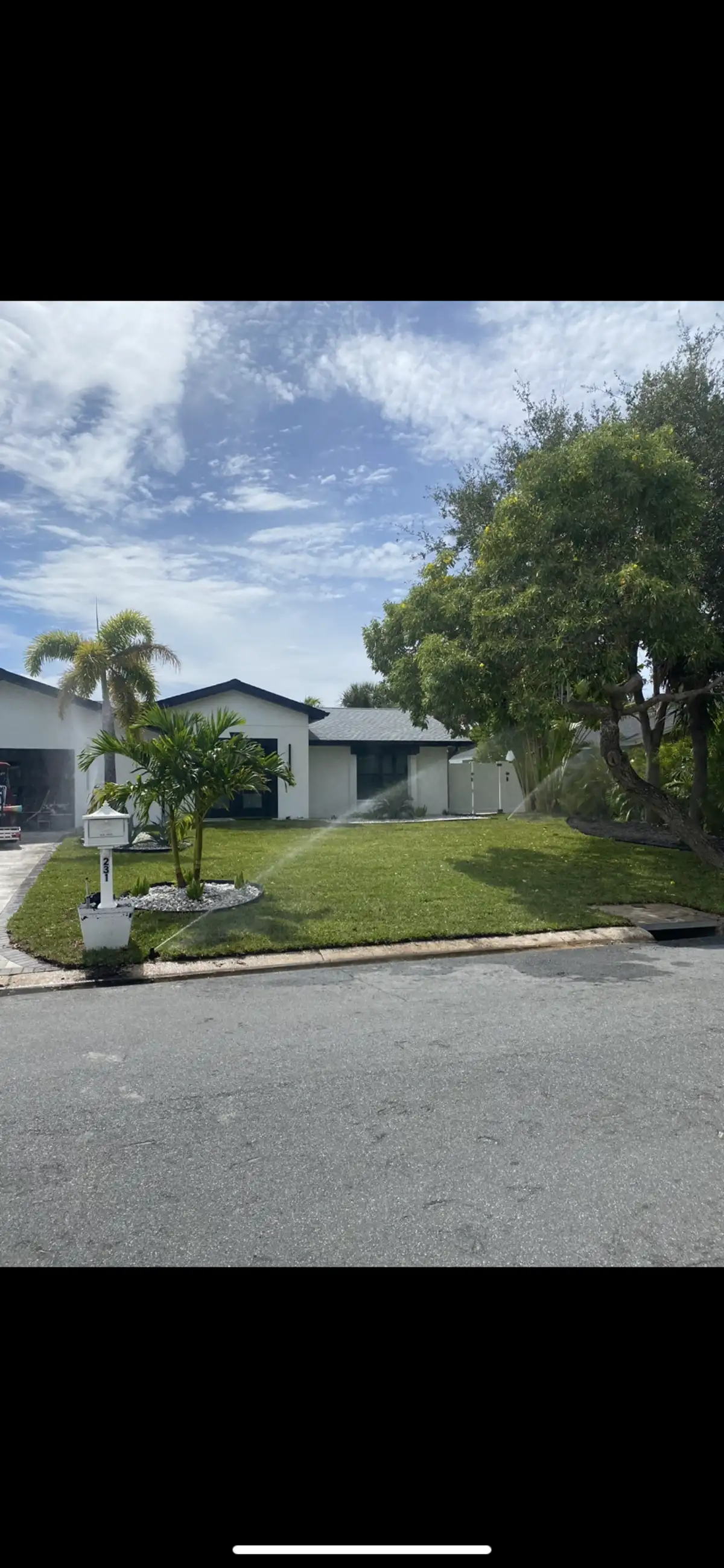 Artificial turf installation for pet-friendly backyard in St. Pete