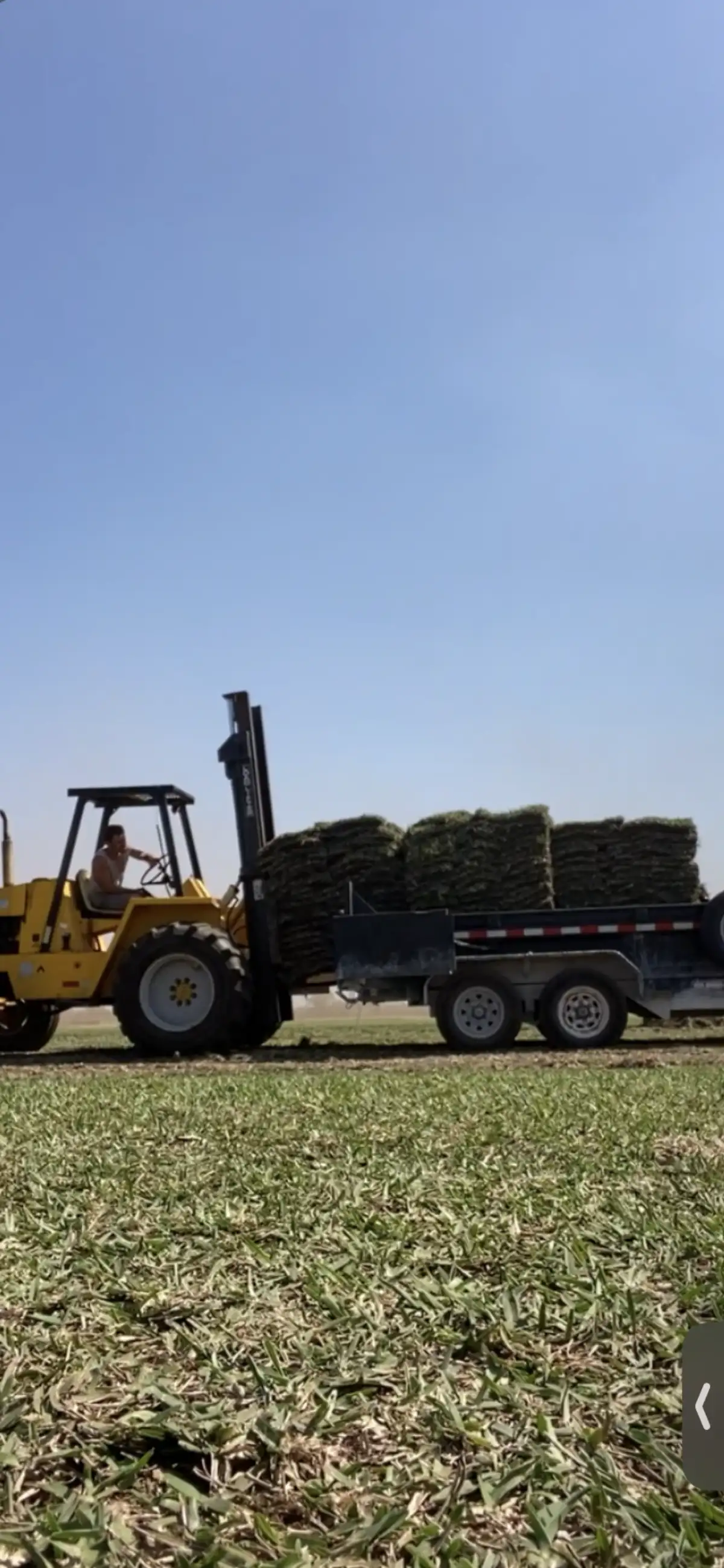 Complete property transformation with sod and planting in St. Petersburg