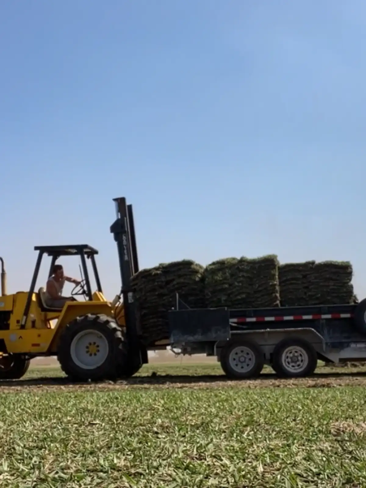 Site grading and dirt work services for landscaping in St. Petersburg FL