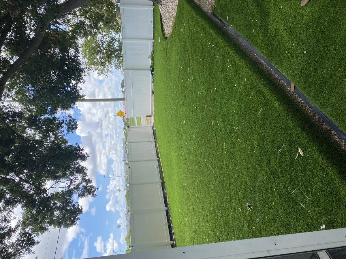 Sod installation and turf services in St. Petersburg FL